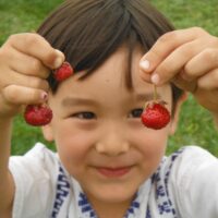 Child with strawberries