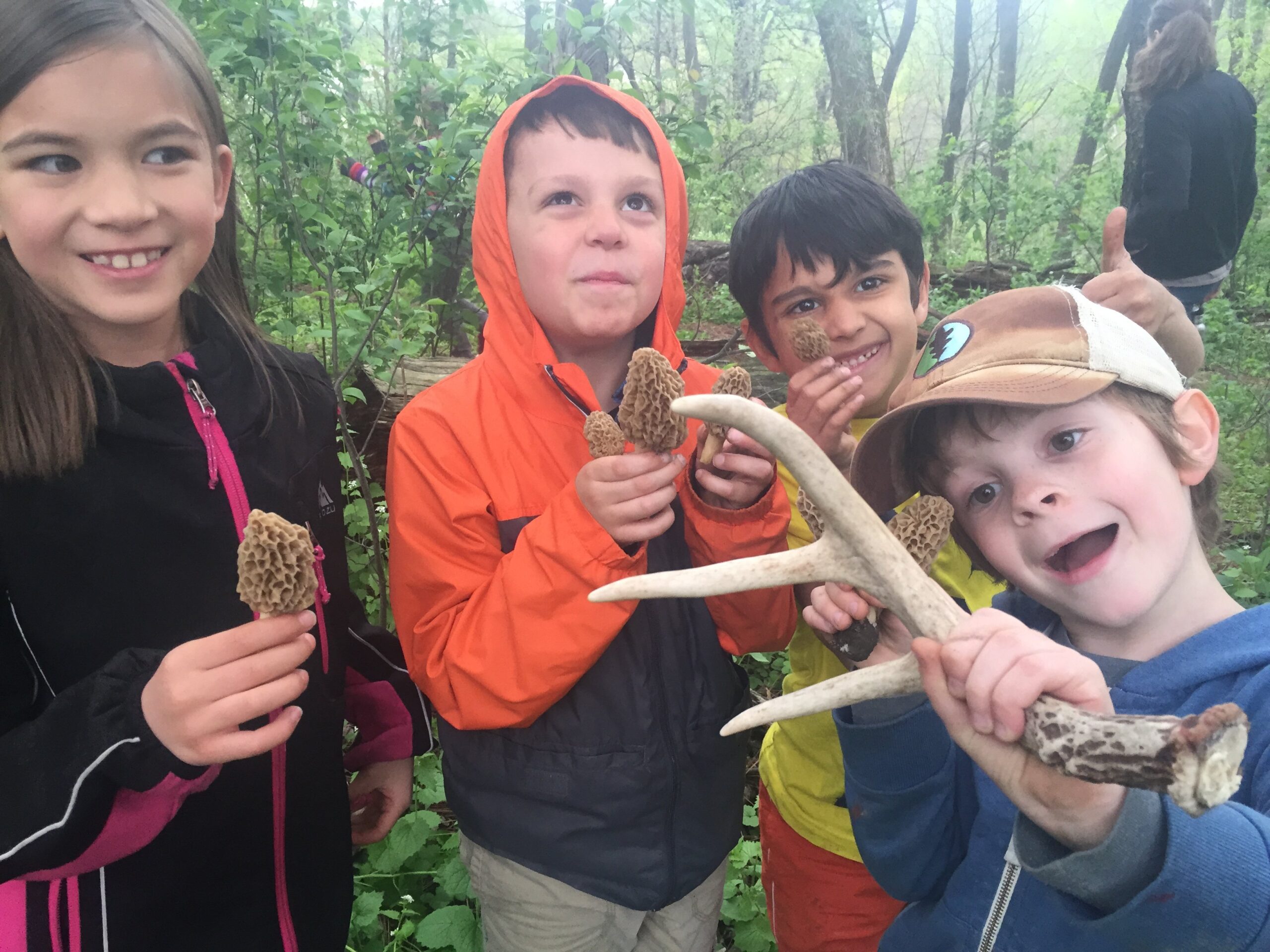 Spring Nature Competition Springtime Nature: Also, T-shirt Design Contest, a Fun Project and ...